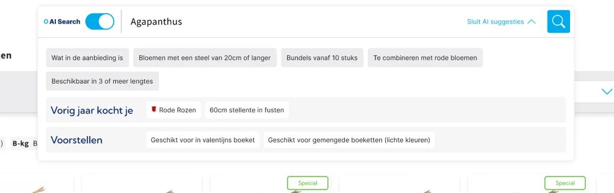 Smart search interface